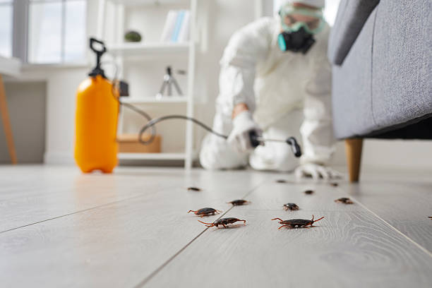 Commercial Kitchen Cockroach Control in Lenape Heights
